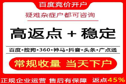 专业sem托管服务案例，揭秘广告投放优化策略